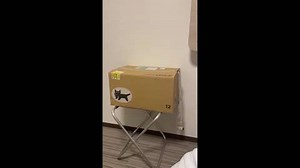 Japan: M6.6 Earthquake Hits Off Miyazaki Coast, Prompts Tsunami Advisory 4