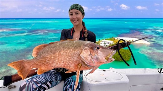 Huge Dog Snapper and a 1000 Foot Drop Off Right Off Our Island
