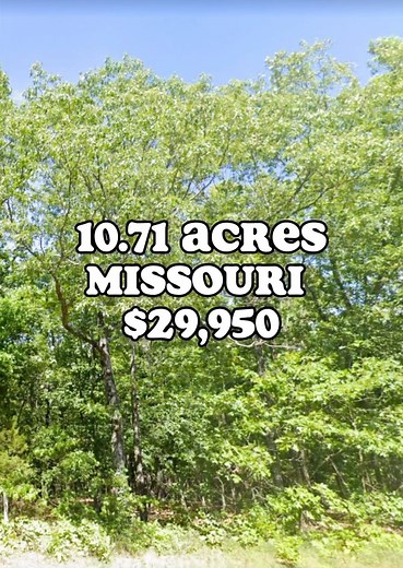 10.71 acres for sale in Missouri for $29,950. DM us for more information. #landcentury #missouri #property #land #realestate #foryou #fyp #reels #viral #trending #viralvideos #reelsinstagram #viralreels #forsale #trendingreels #properties #usa #propertyforsale #acreage #landforsale #realestateinvesting | Land Century