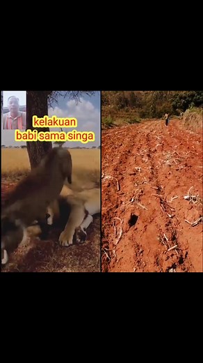 The true definition of mischievous as brought by Warthog. | David Nzyoka - Columbo