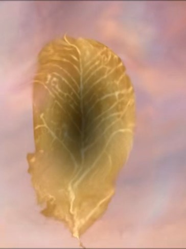 Love.Between.Fairy.and.Devil.S01E01 #part 6 #foryoupage # chines drama new#treanding
