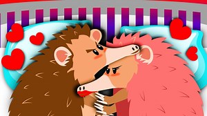 3.3M views · 3.8K reactions | These animals have the most extreme sex in the animal kingdom. | Insider Science | Facebook