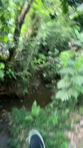 Videos de EL You luces 🚚 (@freddy_ntc) con “sonido original - Lyrics Songs Plus”