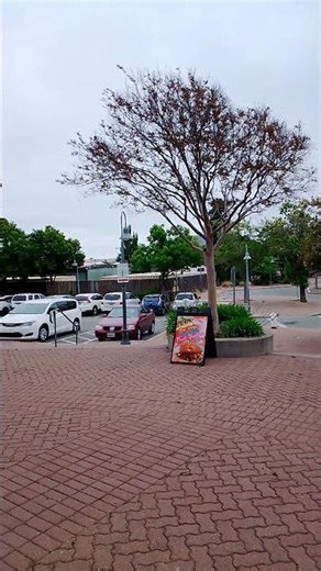 Train Station Martinez CA