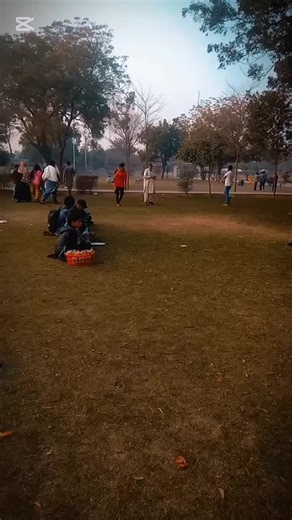 Sono flipper 02 ✨🪽 (@sono.flipper.02)’s videos with original sound - 𝐙𝐲𝕒ƞ_.κɧαη🫥