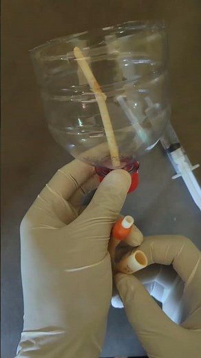 Insert a urinary catheter.