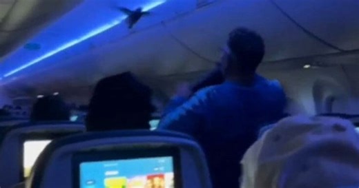 Passenger catches pigeon stranded inside airplane in Minneapolis