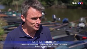 6.4K views · 78 reactions | Un désastre volontaire provoqué par...