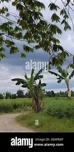 Beautiful countryside landscape