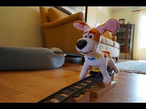 When ur dog is train