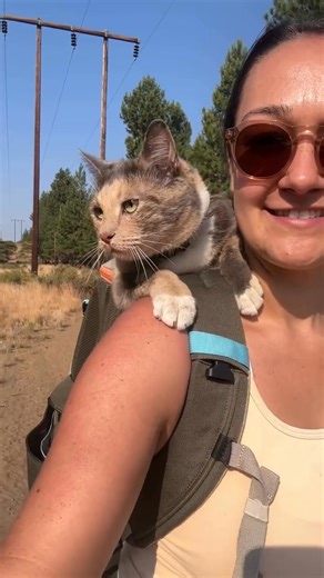 11K views · 1.6K reactions | Explore beyond the great indoors with Travel Cat   As seen in ABC News, New York Magazine, Fortune, NYLON, Bustle, and Modern Cat Magazine. | Travel Cat - Your Cat Backpack | Facebook