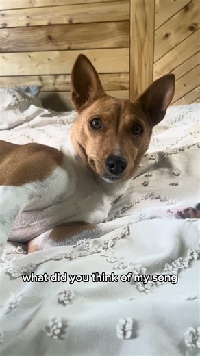 Flicka breaking my heart at the end😭💔