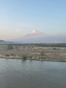 「絶対E席だよね‼」吉田羊が公開した奇跡の絶景に反響続々