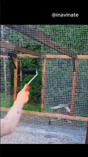 IT BECOMES INVISIBLE! 🤯 The Darkened Metal Your Brain IGNORES Optical Illusion