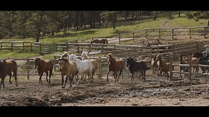 23K views · 1.5K reactions | It's time to get back in the saddle. Within a beautiful road trip from your home, you can find a place where physical distancing has been the norm for 100 years, and connections are forged in wide-open spaces. We love dude ranch vacations, and there has never been a better time for this kind of getaway. | Visit USA Parks | Facebook