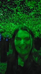 Mirror maze at Butterfly Palace & Rainforest Adventure in Explore Branson - Note: Wednesday exited the entrance, we found the exit after we came out the entrance. | Travel With Sara