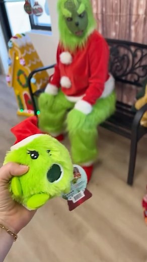 374K views · 2.1K reactions | The Grinch didn’t like any of my fidgets  #mrsbench #fidgettoysplus #thegrinch | Fidget Toys Plus | Facebook