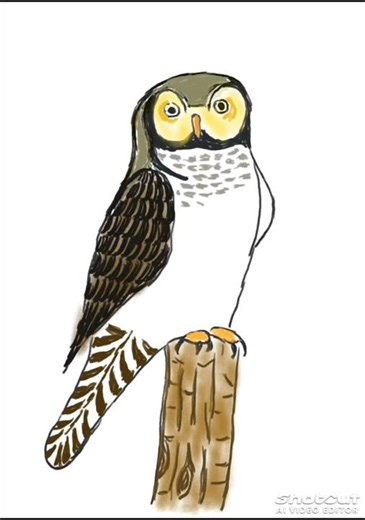 Petit dessin de ce matin delà chouette en chasse à la tablette repaper