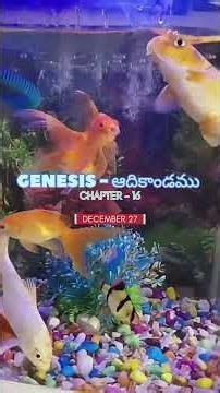 Genesis chapter - 16 #biblestudy #walkinspiritoftheholyspirit