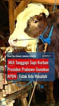 MUI Tanggapi Sapi Kurban Presiden Prabowo Gunakan APBN: Tidak Ada Masalah #short