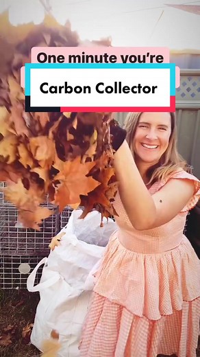 The Importance of Composting for Soil Health