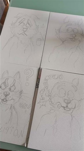 les esquisses...je travaille souvent avec de la musique classique...Chopin... Beethoven...