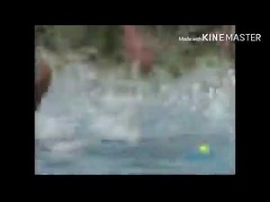 Sesame Street - Underwater Letter S