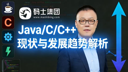 Java/C/C++现状与发展趋势解析-AI时代程序员入坑慎重选择！！