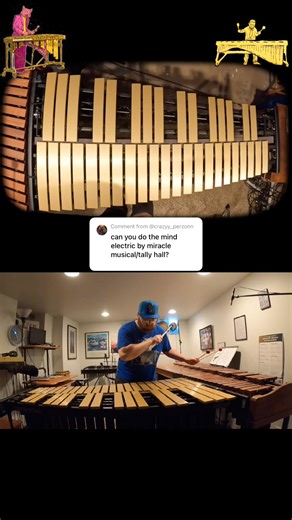 “The Mind Electric” by Miracle Musical/Tally Hall (w front cam) #cover