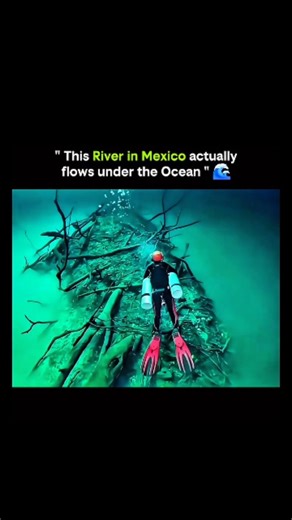 Zenx Hustle1 on Instagram: "This graph illustrates a rare natural phenomenon in Mexico where a freshwater river appears to flow beneath the ocean. Due to differences in salinity and density, the lighter freshwater stays separate from the heavier seawater, creating a visible underwater “river” effect that looks like it’s running under the sea. This unique flow is caused by underground cave systems and freshwater springs, resulting in a striking contrast between the clear blue ocean water and the 