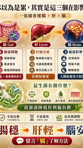 🫀 腦 × 肝 的真實關係（核心一句話）👉 腦決定負擔，肝負責處理但 肝累了，會反過來拖垮腦#益生菌#腸道菌相#肝臟#日常調整保養#保健食品