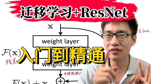 附源码！【迁移学习+Resnet】AI大佬手把手带你入门ResNet网络结构，BN以及迁移学习详解！一小时全学透！AI|ResNet|深度学习|自然语言处理