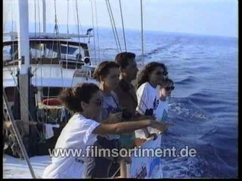 Schulfilm: WAS IST WAS - WALE UND DELPHINE (Schulfilm-Vorschau)