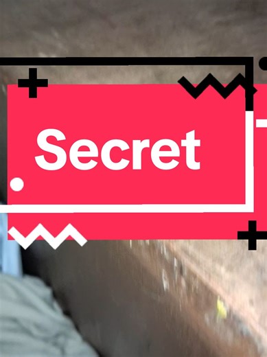 perfect guard for my money! #amanda #fyp #fugglers #safe #ugly #trend