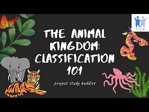 The Animal Kingdom: Classification 101 | IGCSE Biology