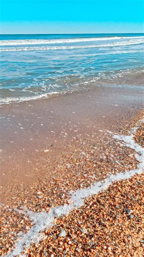 OBX shell season 🌊🐚 Hissing waves, hundreds of tiny shells, and scattered treasures like coquina and sea glass - pure coastal calm. #OuterBanks #ShellSeason #BeachSounds #NatureASMR #coastalvibes #obx #beachcombing #obxshells | Seaside Vacations Outer Banks