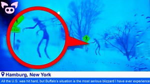 58K views · 1.3K reactions | These Are The Freaky Videos Everyone's Talking About | Slapped Ham | Facebook