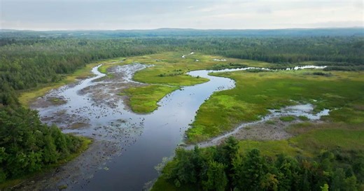 The Path to Grayling