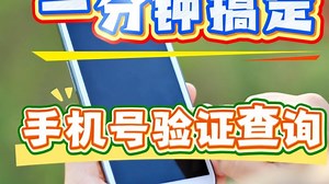 还在为手机号真实性发愁？这个方法让你秒查实名信息！