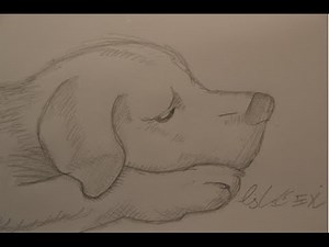 Trauriger Hund [Bleistift-Zeichnung] [HD]