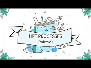 Life Process | Nutrition | Chapter 6 (Class 10 Biology) | PPT project