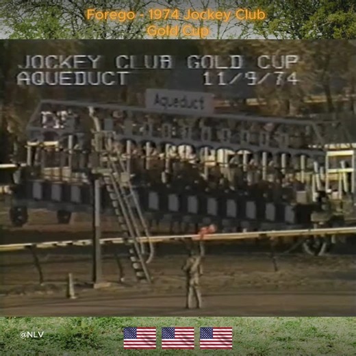 On November 9, 1974, Forego stormed down the stretch in the Jockey Club Gold Cup, sealing his place among the greats with a victory that showcased both his relentless drive and towering heart. | Natural life Viewer