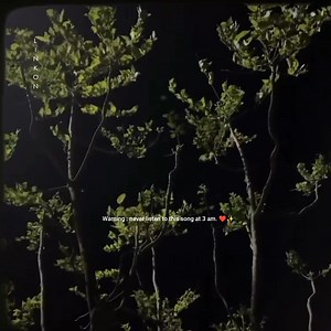 471K views · 10K reactions | warning : never listen to this song at 3 am ' ( : | 홷 횎 횊 횛 횝 홼횘횖횎횗횝횜 ｼ | Facebook