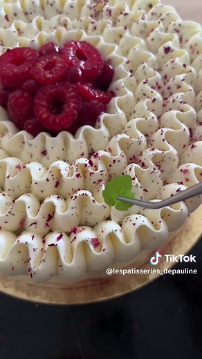 Framboisier : Crème Diplomate et Gelée de Framboise