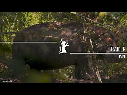 "Pepe" | Trailer | Berlinale 2024