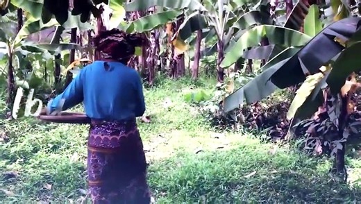 Iwan Fals - Ibu (Official Lyric Video)