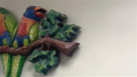 University of Tennessee volunteers explains work they do for kids