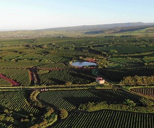 1.9K views · 240 reactions | Happy Aloha Friday! Brew a cup of coffee and join us for a farm fly over. The time between the end of the harvest and the first spring bloom is short, so there's lots of tree pruning and soil care to tend to before the spring rain brings on the blossoms. | Kauai Coffee Company | Facebook