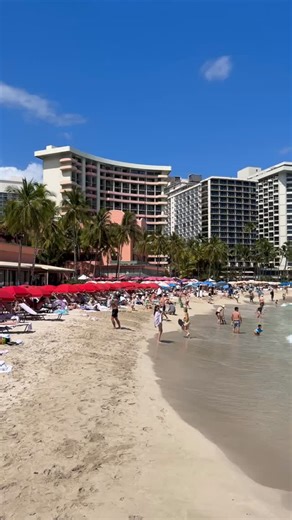 Christmas in Waikiki 2025 #honolulu #hawaii #christmas #christmasinhawaii #gowalking | Edgar Wu