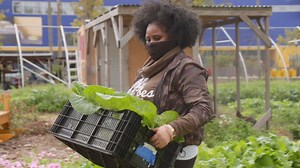Urban farms work to get healthy foods to their communities